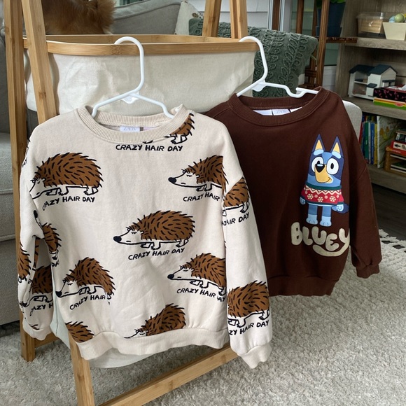 Zara Other - Zara Sweatshirt Bundle